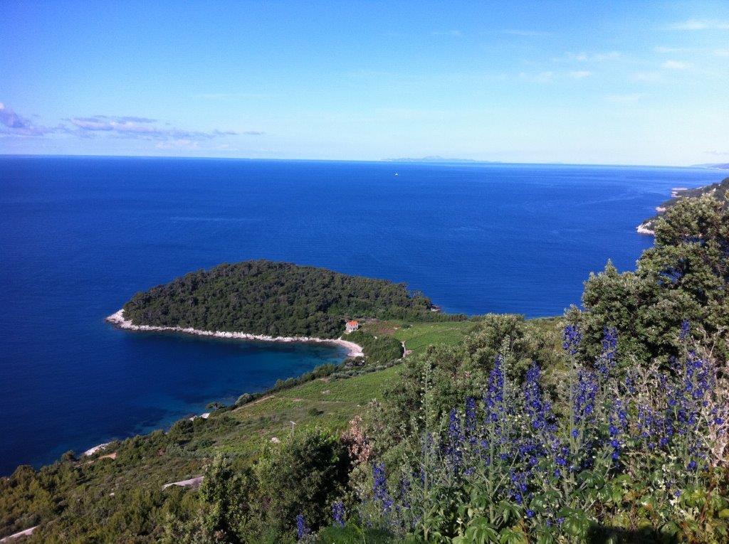 Peljesac, Trstenik
